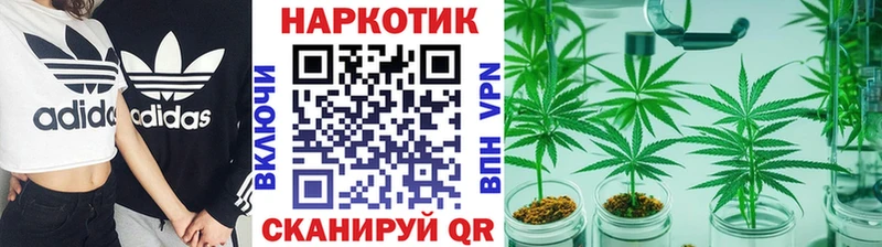 Где можно купить наркотики Новосиль ГАШ Псилоцибиновые грибы Мефедрон Канабис Alpha-PVP