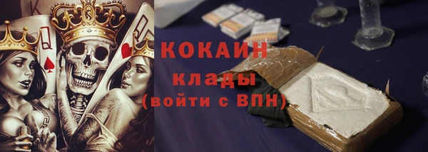 спиды Лиски