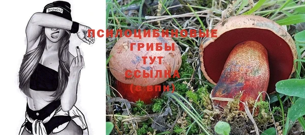 экстази Лагань