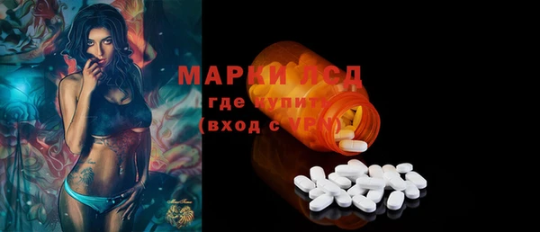 ECSTASY Ладушкин