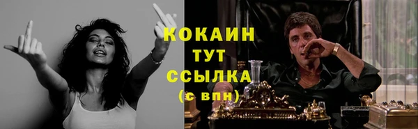 ECSTASY Ладушкин