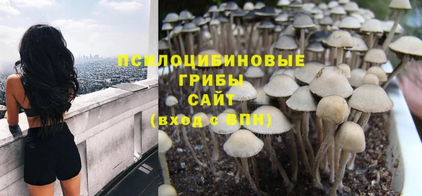 ECSTASY Ладушкин