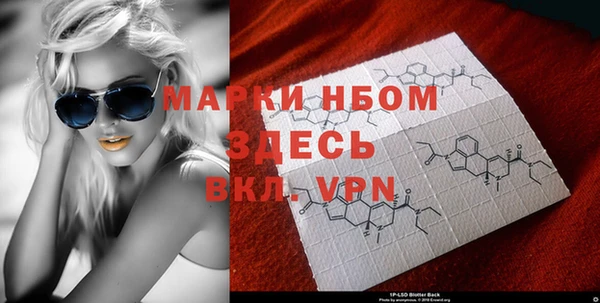 ECSTASY Ладушкин
