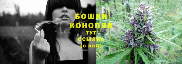 спиды Лиски