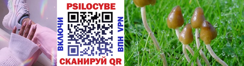 купить наркоту  Новосиль  Галлюциногенные грибы прущие грибы 