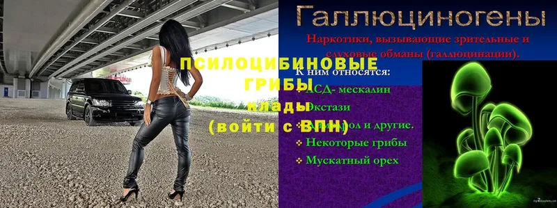 Псилоцибиновые грибы мицелий  Новосиль 