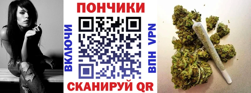 Марихуана гибрид  Новосиль 