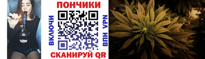 Марихуана SATIVA & INDICA Новосиль